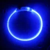 Collier lumineux pour chien bleu