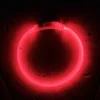 Collier lumineux pour chien rouge