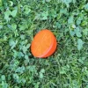 Jouet rafraîchissant pour chiens dans l'herbe - Orange - CROCI