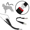 Ceinture de sécurité pour chien - Les Trésors de Sparow