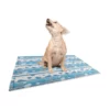 Tapis rafraîchissant pour chien Croci - été - Les Trésors de Sparow