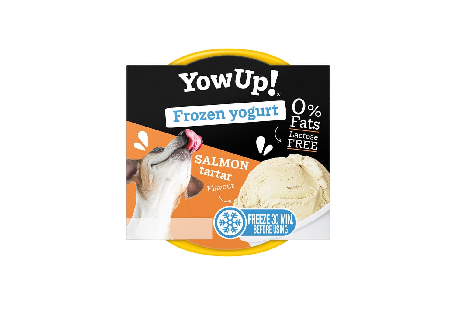 Yaourt glacé pour chien - Tartare de saumon - YowUp!