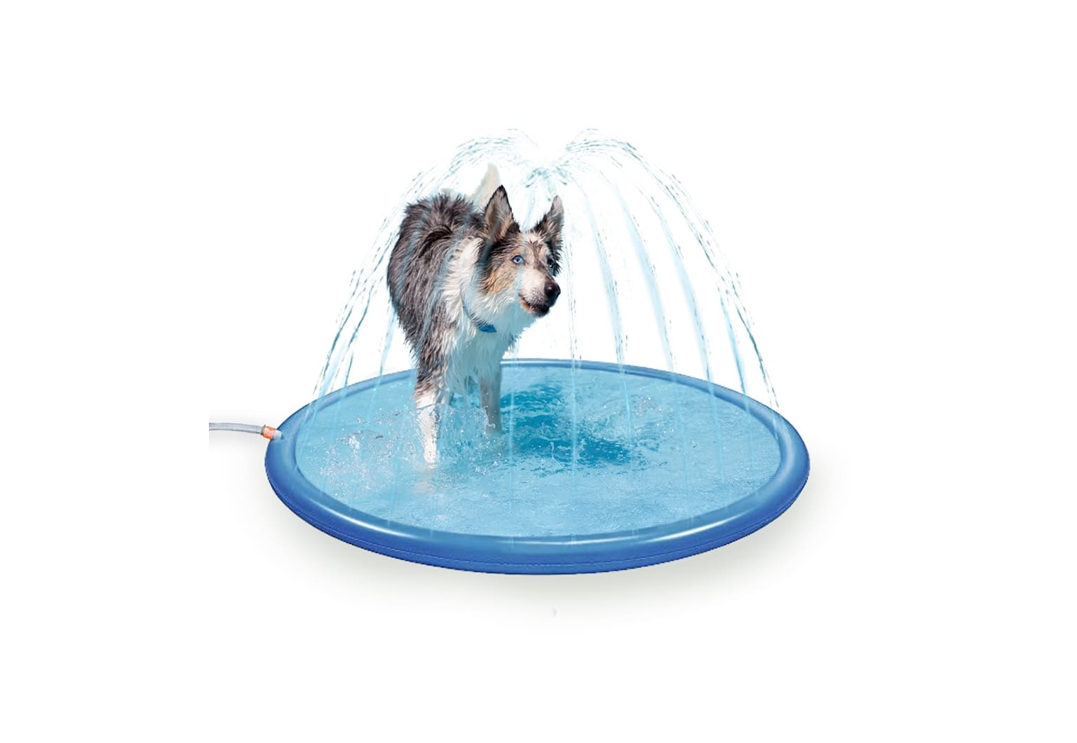 Tapis rafraîchissant arroseur pour chien coolpets les trésors de sparow
