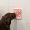 Tapis de léchage pour chien les trésors de Sparow