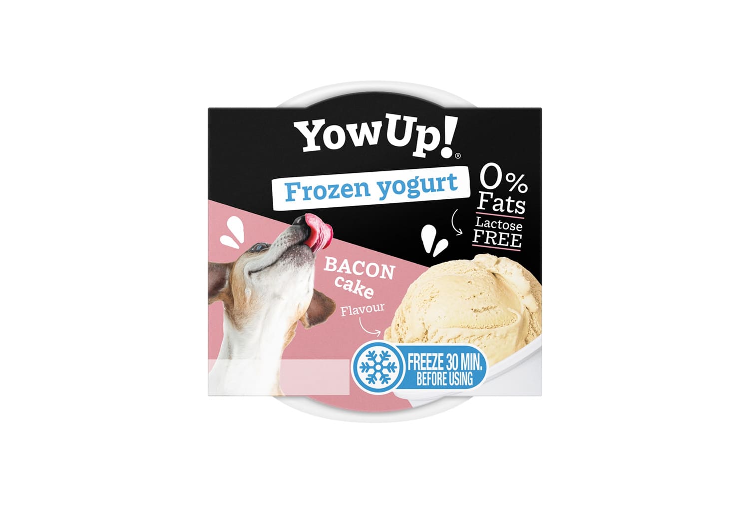YowUp! Bacon au yaourt glacé - Les Trésors de Sparow