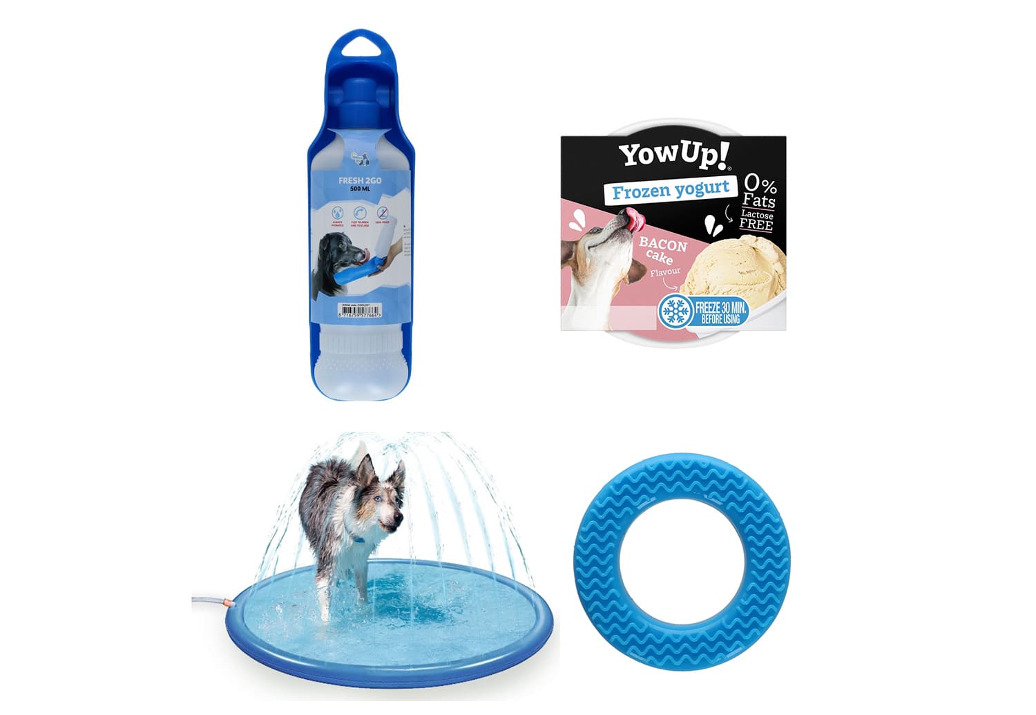 Kit été rafraichissant pour chien #2 - 4 Produits