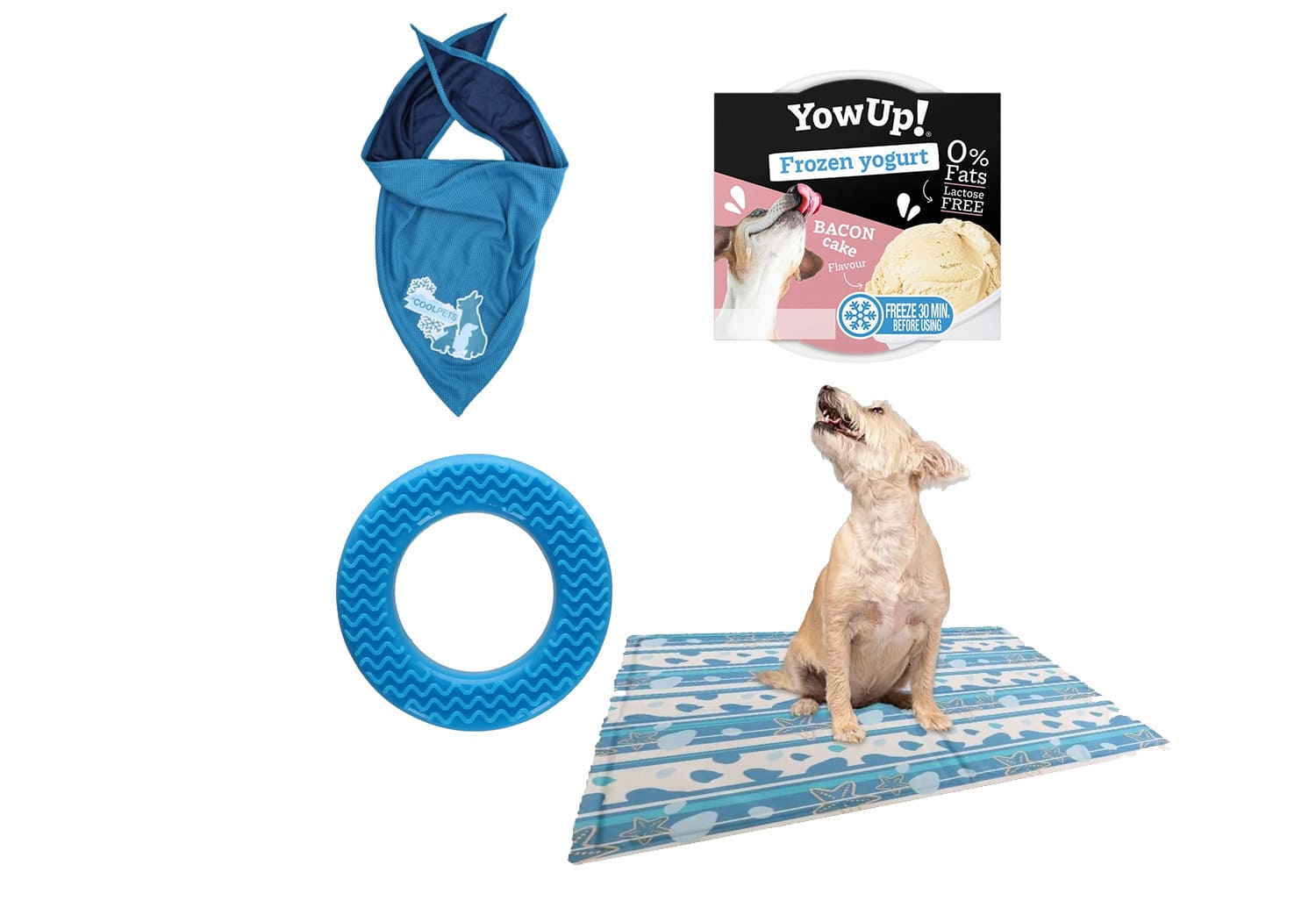 Kit été rafraichissant pour chien #3 - 4 Produits