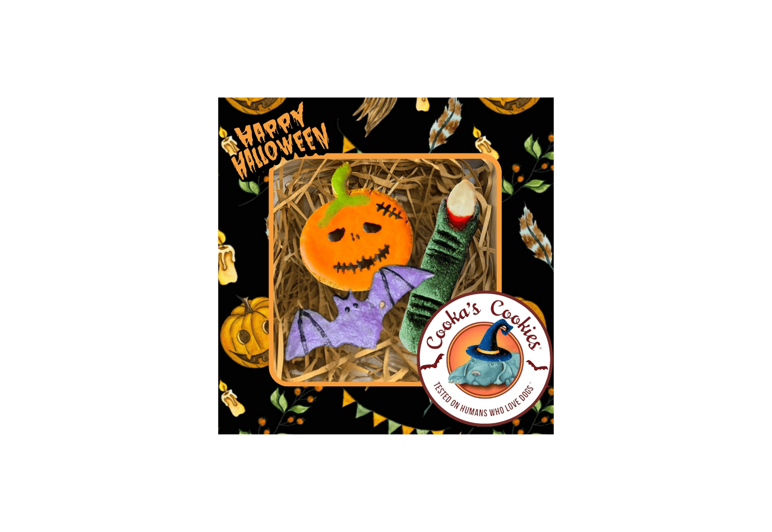 Coffret boite Halloween cooka cookies Les Trésors De Sparow